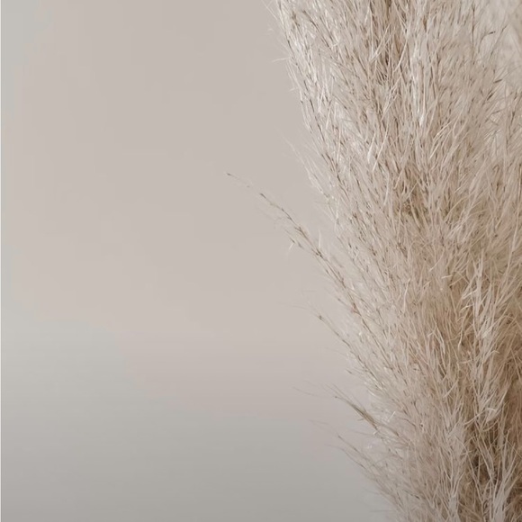 🤍 - Picture 1 of 1